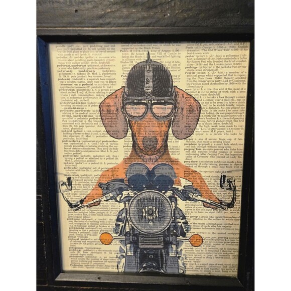 Dashschund on Motorcycle Wall Art Framed, Spike Helmet, Dictionary Background - Picture 3 of 5